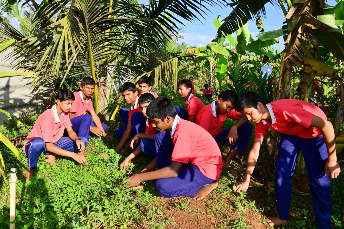 Students tending the campus garden among coconut and banana trees at the Gurukula campus in M.L. Halli, Sagar